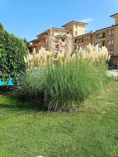Magic Dreams Apartments Sveti Vlas Ngoại thất bức ảnh